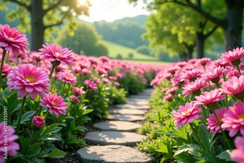 Wallpaper Mural Pink chrysanthemums in a field with a winding stone path, fields, spring Torontodigital.ca