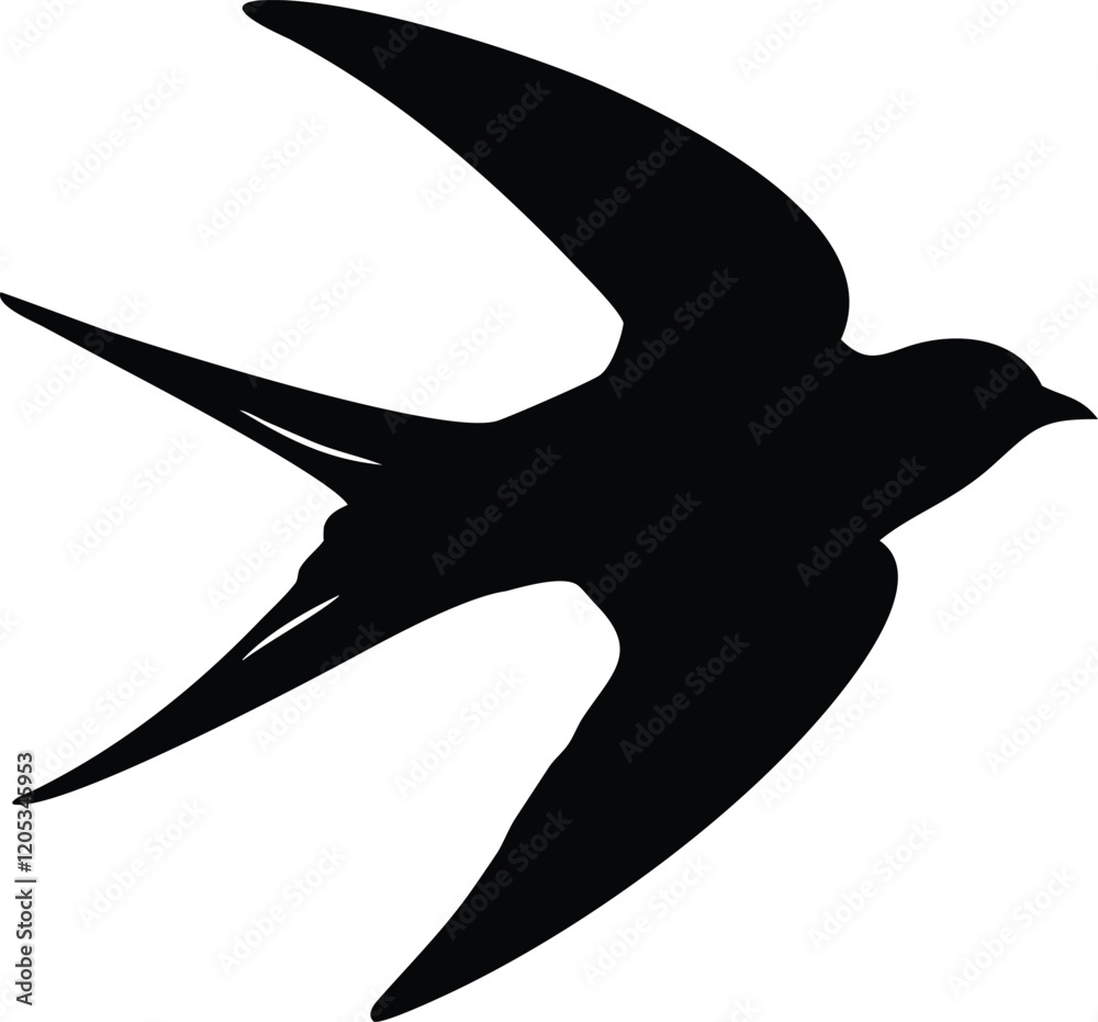 Obraz premium silhouette of a eagle