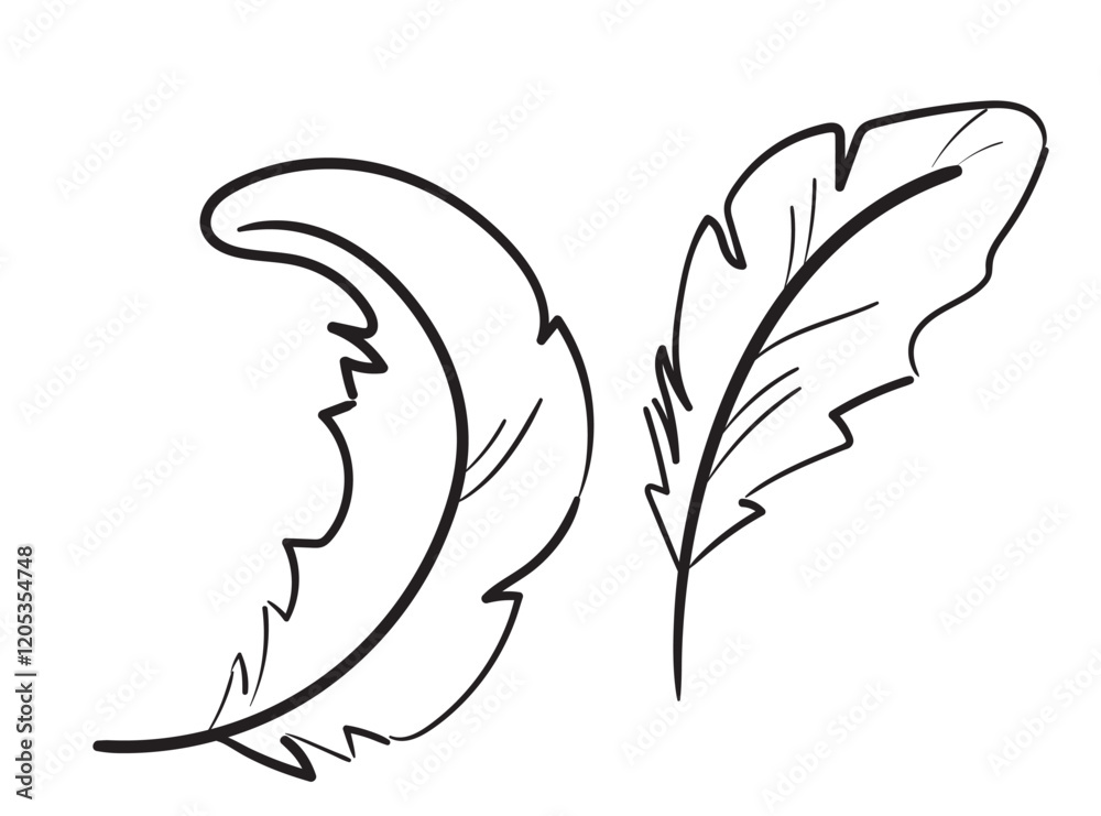 Fototapeta premium Bird feather hand drawn icon, flying dove feathers isolated, doodle soft plume silhouette, feather ink