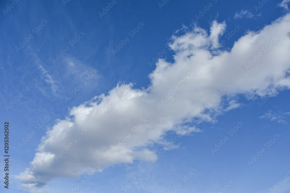 Fototapeta premium 冬の青空と白い雲