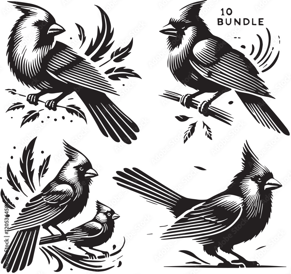 Naklejka premium Black Color Cardinal Silhouette Vector Illustration, Solid White Background. minimal vector design