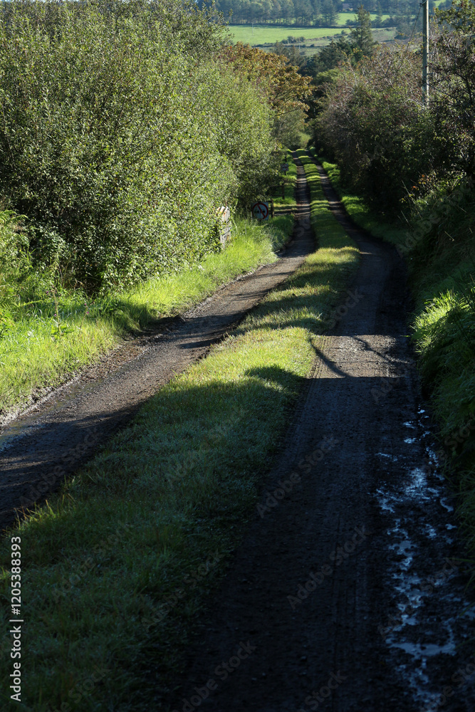 Countryside path - County Cork - Ireland