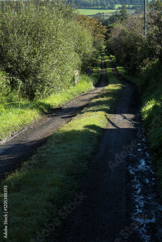 Obraz na płótnie Countryside path - County Cork - Ireland w salonie