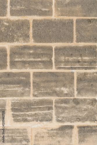 Old Wall Background Portrait