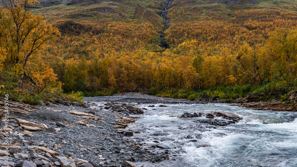 Rapids in the Abiskojokk river in Abisko national park in north of Sweden Rapids in the Abiskojokk river in Abisko national park in north of Sweden