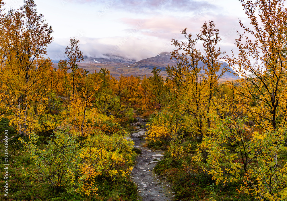 Hike area landscape in Abisko national park in north of Sweden. Hike area landscape in Abisko national park in north of Sweden.