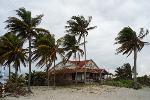 Fototapeta Naklejka Na Ścianę i Meble -  hurricane on the coast of America, strong wind, storm, palm trees, bad weather, Cuba, Florida, hurricane time, a dilapidated house on the ocean shore