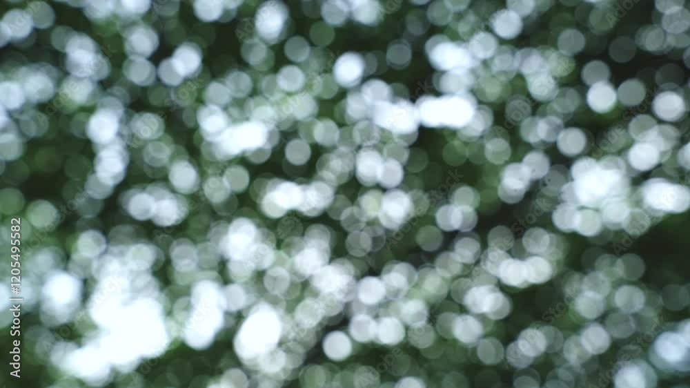 green bokeh background