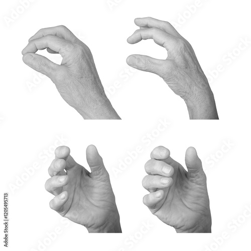 Closeup, elderly woman's hand reaching and curled in a grasping gesture, wrinkled skin and soft anatomy, expressive pose, and palmar view. Isolated on white background.