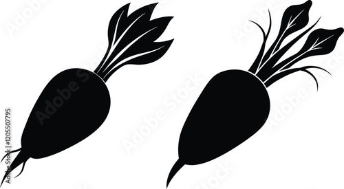  Daikon radish silhouette vector illustration