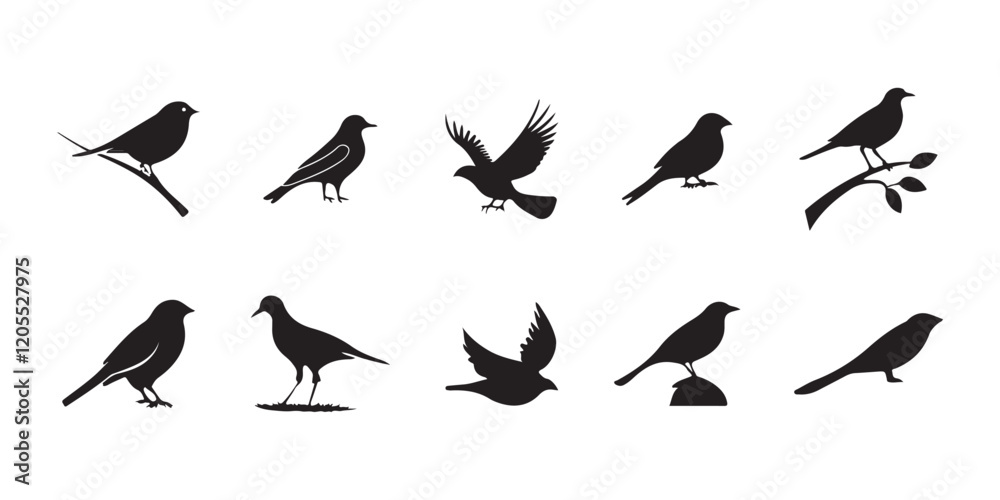 Obraz premium Various brid silhouette vector on white background