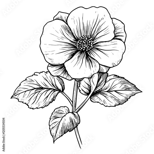 Intricate sketch of a delicate flower with detailed leaves showcasing nature's artistry and fine lines