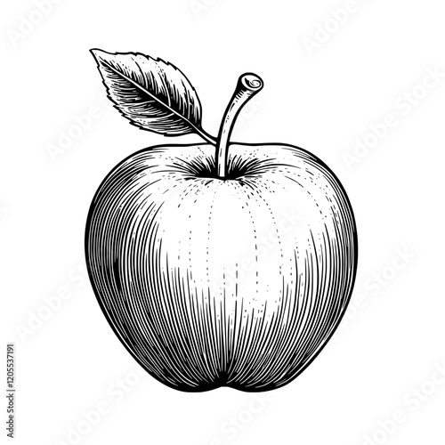 Richly detailed drawing of a ripe apple with a delicate leaf captured in black and white