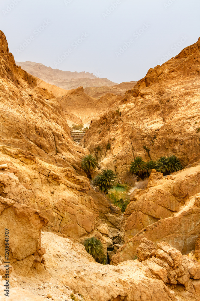 Obraz premium A picturesque gorge in the Atlas Mountains. Chebika Oasis, Tunisia