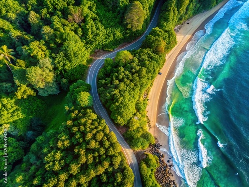 Aerial Forest Road Beach Drone Shot photo