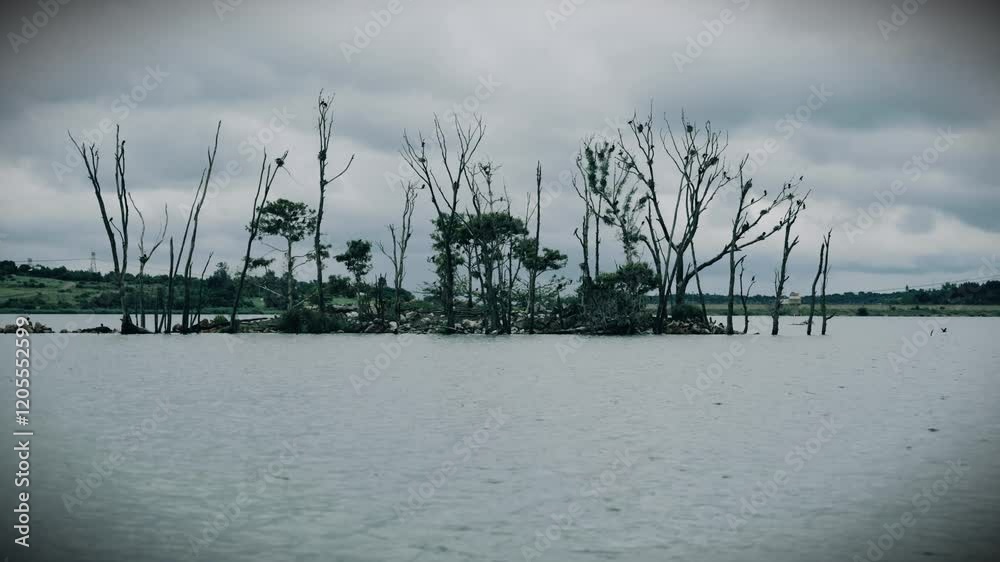 Dark, eerie scene of a small island in a dam, surrounded by dead trees. Birds fly in and out, adding to the suspenseful and mysterious atmosphere. Shot in 4K high resolution with moody tones. Dark, eerie scene of a small island in a dam, surrounded by dead trees. Birds fly in and out, adding to the suspenseful and mysterious atmosphere. Shot in 4K high resolution with moody tones.