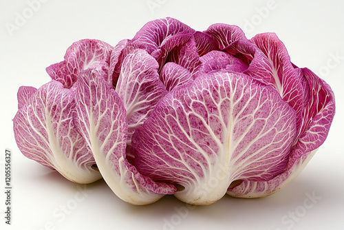 Radicchio head vibrant purple and white leaves photo