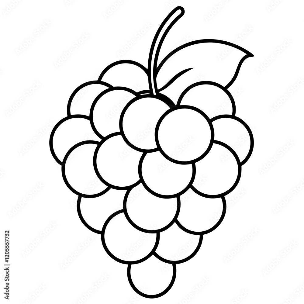 Grape art vector Grape art vector