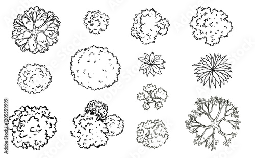 Vector set of Top view green tree for outdoor plan or map and architecture drawing, elements for environment and garden ,botanical elements ,Blooming flowers in spring,tropical plants element