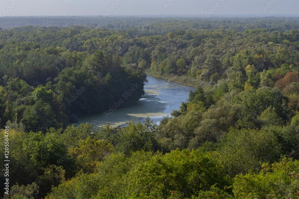 Obraz premium Beautiful view of the river from the top of the hill. Landscape with a river and a steep bank on an autumn morning.