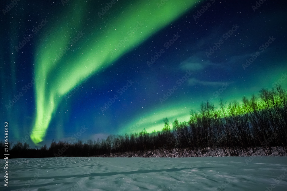 Northern lights, Aurora borealis in Swedish lapland, Abisko, Kiruna Winter landscape Majestic northern lights dance in starry sky