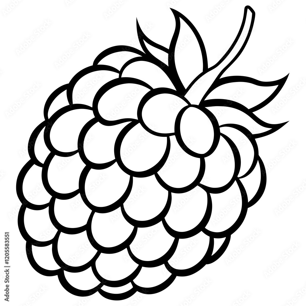 Blackberry line art art vector Blackberry line art art vector