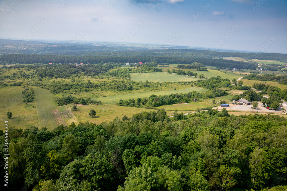 A Stunning, Scenic Landscape View of Rolling Green Hills and Vibrant Lush Greenery A Stunning, Scenic Landscape View of Rolling Green Hills and Vibrant Lush Greenery