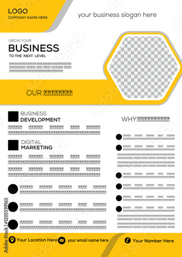 business flayer design 