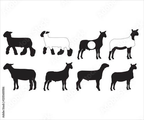 Show Sheep svg, Show Lamb SVG, Show Sheep Outline, Show Animal PNG, Show Sheep Monogram, Market Lamb Silhouette, Livestock Show svg
