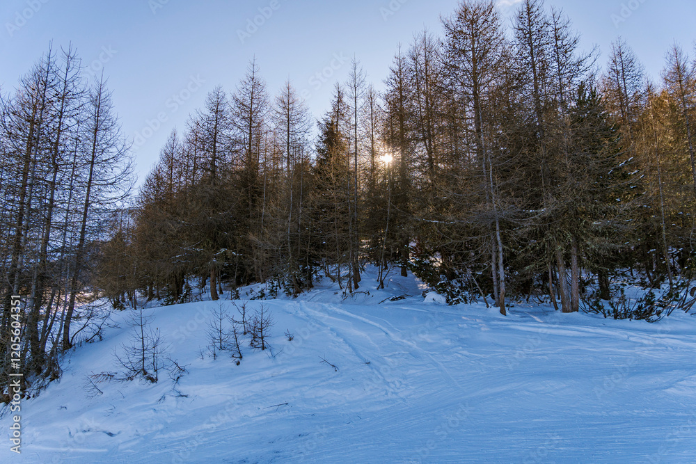 Fototapeta premium Winter Mountains Christmas Holidays