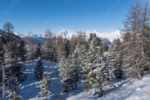 Wallpaper Mural Winter Mountains Christmas Holidays Torontodigital.ca