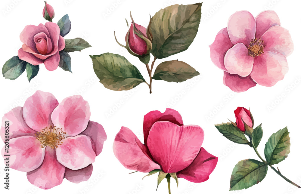 Fototapeta premium set of pink flowers isolated