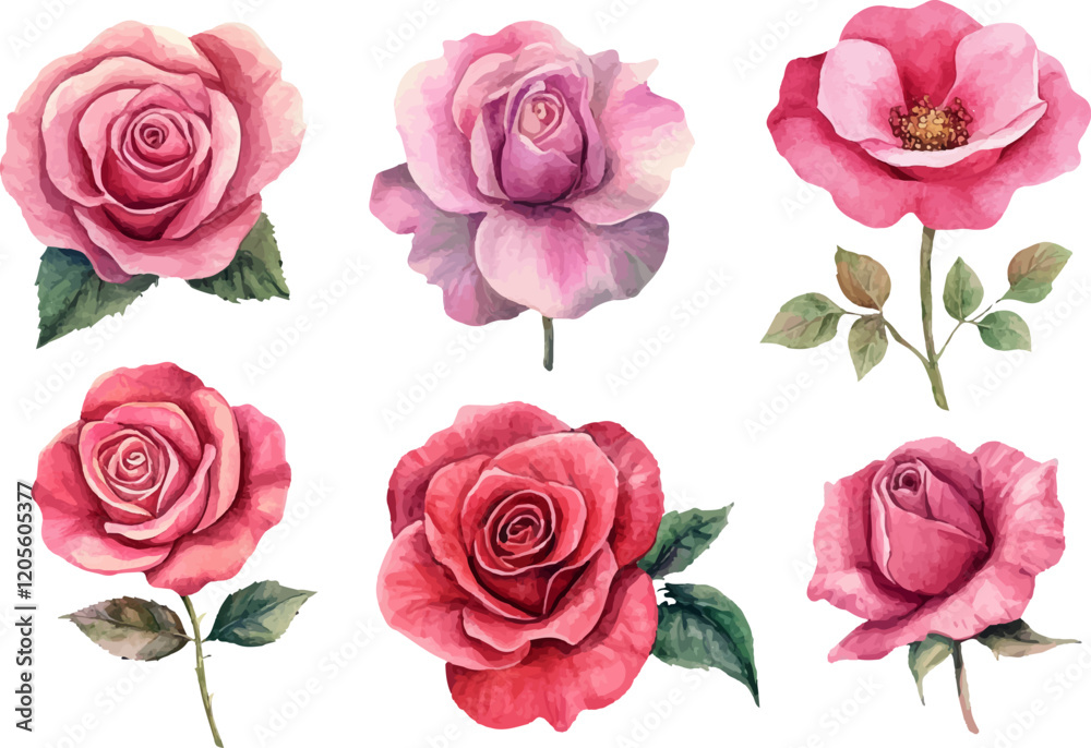 set of pink vector set of pink vector
