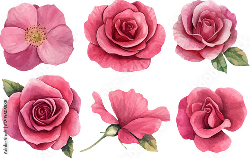 collage of pink roses