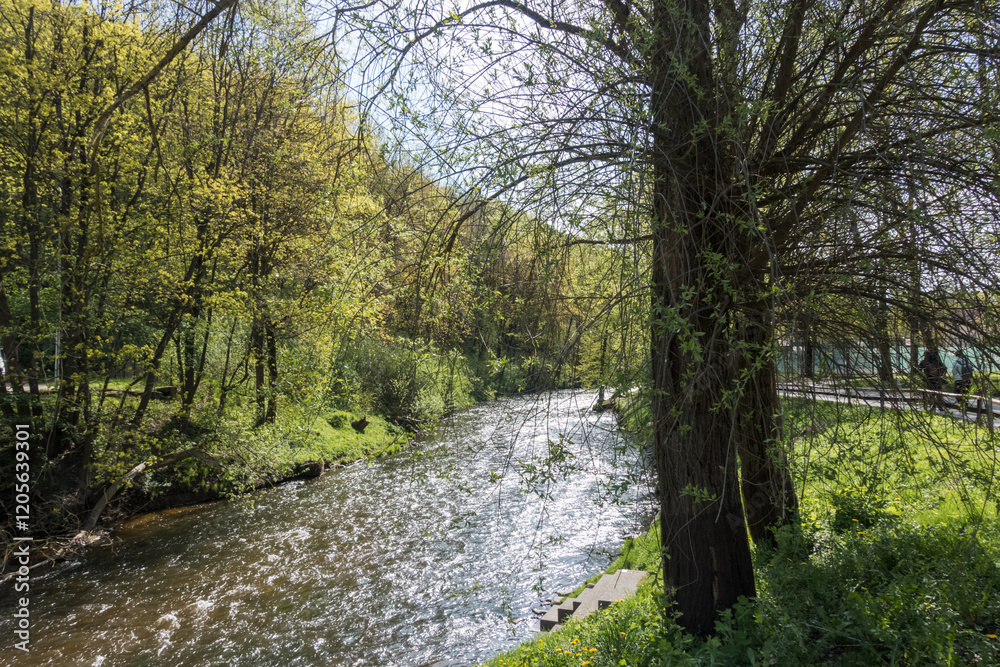 A small river with a current in the spring with trees on both banks, blooming leaves and bright green grass.
A small river with a current in the spring with trees on both banks, blooming leaves and bright green grass.