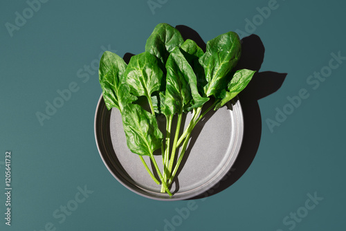 Hojas de espinacas frescas sobre un plato gris sobre fondo verde. Vista superior photo
