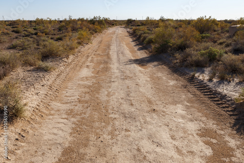 Dusty dirt road winding through the landscapes of Karakalpakstan, Uzbekistan in daylight photo