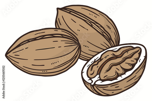  Closeup of pecan nuts, hyper-realistic, studio lighting, white background, macro photography, high detail, food photography, brown tones, textured surfaces, glossy finish,  single pecan shell, cont