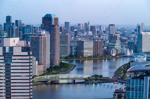 Obraz na płótnie Cityscapes of tokyo sun rise winter, Skyline of Tokyo, office building and downtown of tokyo in minato, Japan, Tokyo is the world's most populars metropolis and centers for world business. w salonie