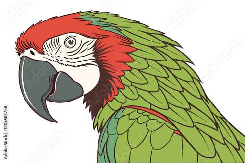  vibrant green feathers, red head crest, curved beak, large expressive eyes, detailed plumage, tropical bird, white background, studio photography, wildlife portrait,, Amazon parrot species, realist