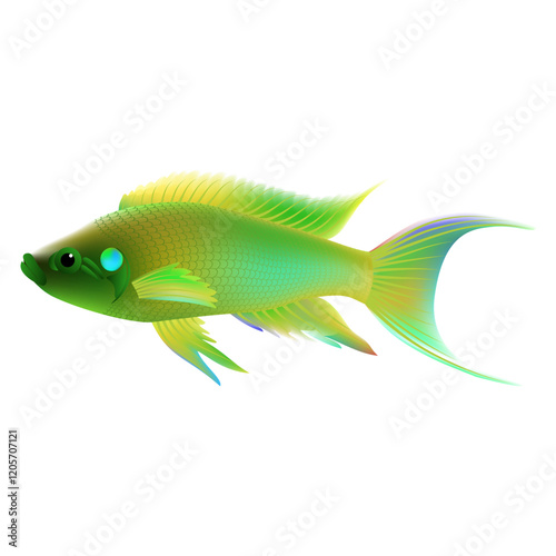 fish