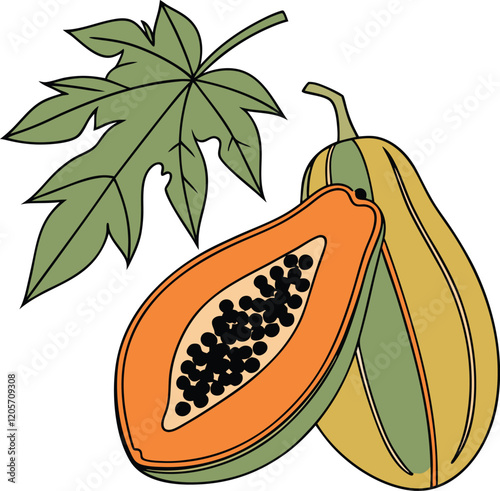 Vector Art of Papaya Fruits – High-Quality Fruit Illustrations for Designers