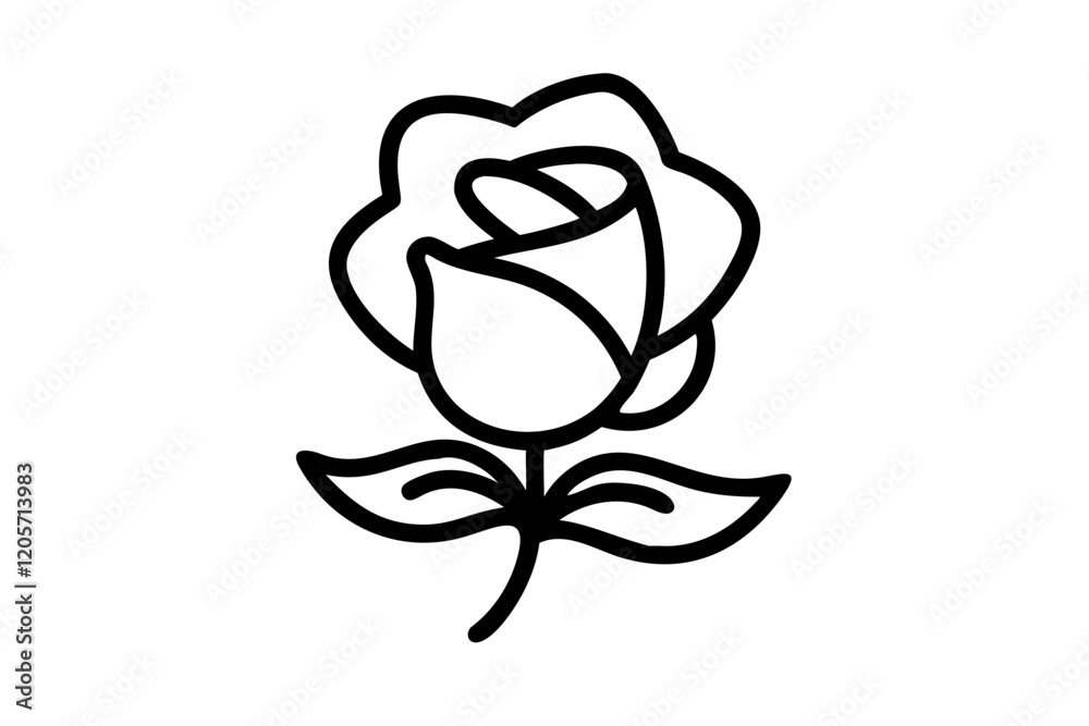 Isolated White Rose with Soft White Background-vector Illastration. Isolated White Rose with Soft White Background-vector Illastration.