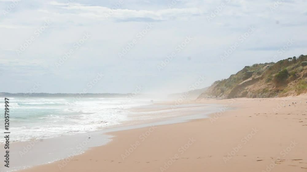 The Philip Island Penguin Parade, located in Victoria, Australia, is a famous wildlife experience where visitors watch little penguins return to their burrows at sunset. The Philip Island Penguin Parade, located in Victoria, Australia, is a famous wildlife experience where visitors watch little penguins return to their burrows at sunset.