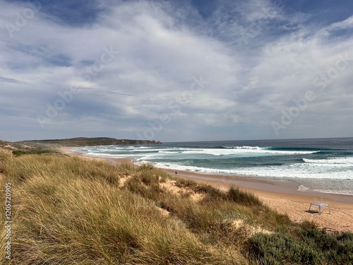 The Philip Island Penguin Parade, located in Victoria, Australia, is a famous wildlife experience where visitors watch little penguins return to their burrows at sunset. photo