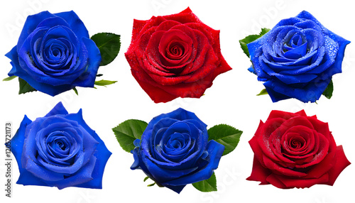 set of Close up of four fresh red roses blue with the stem with dewdrops on petals and leave