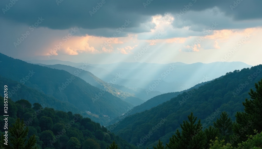 Naklejka premium Stormy sky with clouds over Northcliffe hills with trees, misty, foggy