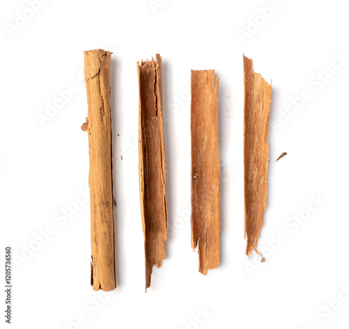 Broken Ceylon Cinnamon Isolated, Cinnamomum Verum Bark, Zeylanicum, Real Cinnamon Sticks photo