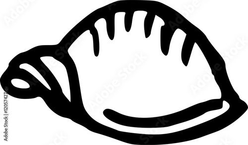 Hand drawn illustration of isolated clam shell