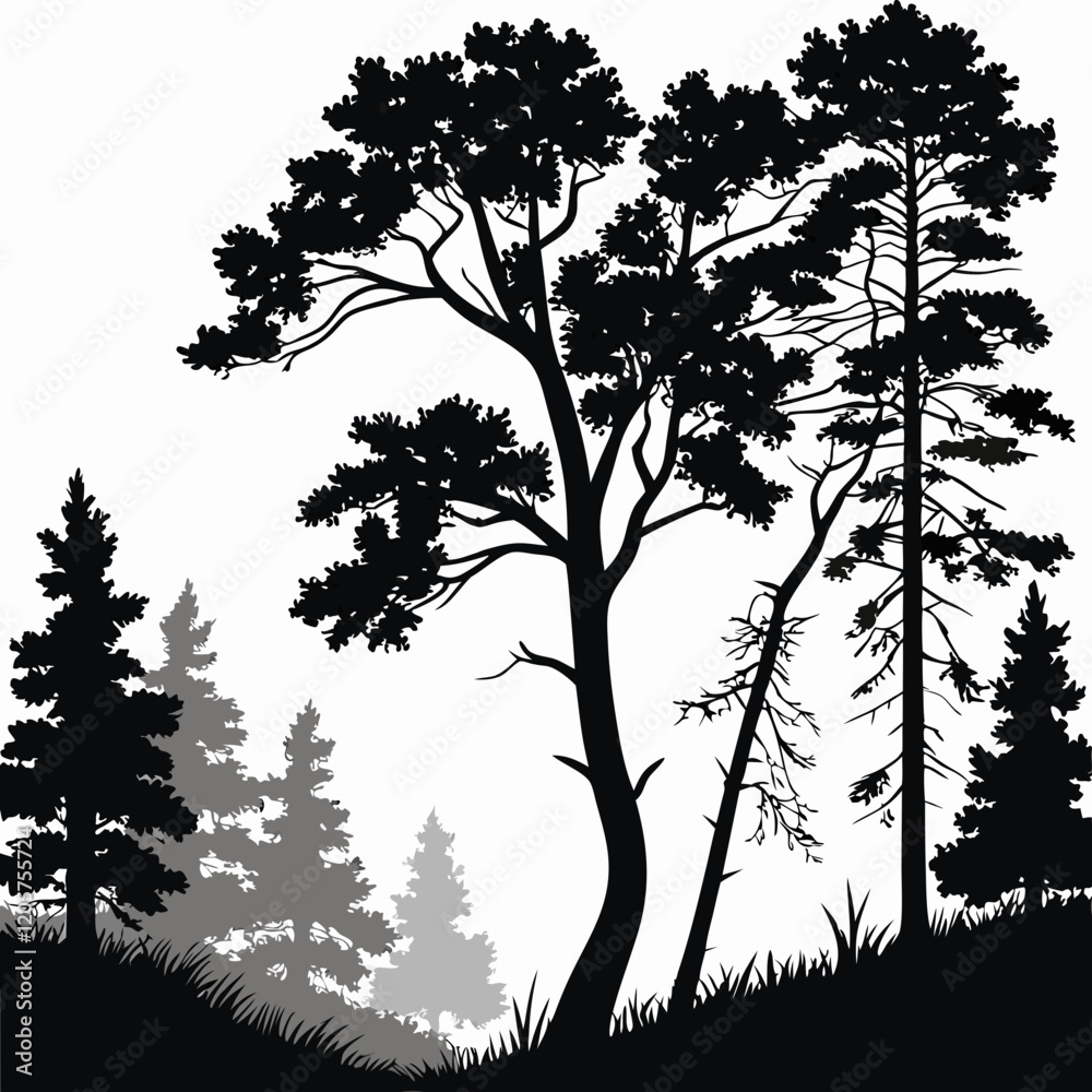Fototapeta premium Midnight Forest vector silhouette black design white background